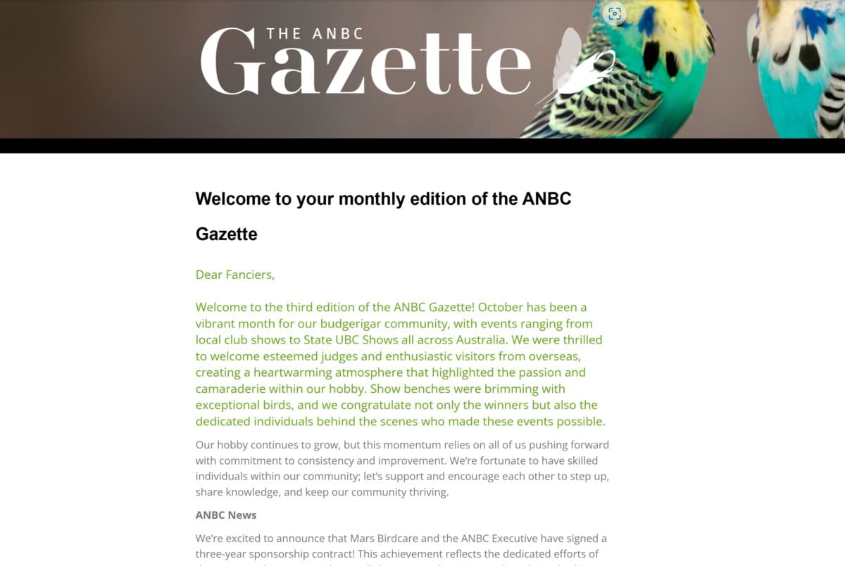 ANBC Gazette November 2024