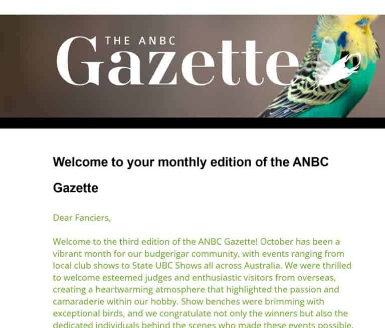 ANBC Gazette Nov 2024