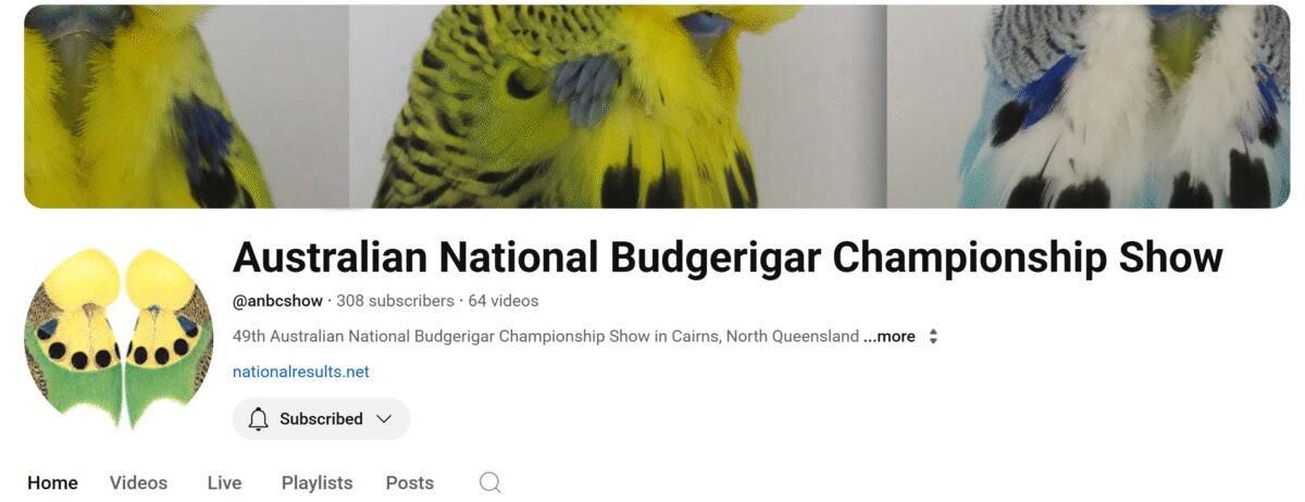 @ANBCShow, youtube channel