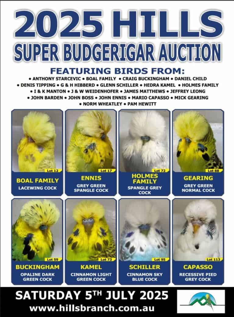 Hills Auction 2025