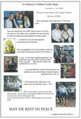 Rob Hugo Budgerigars