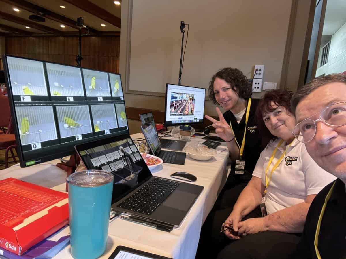 Luke Fletcher Budgies