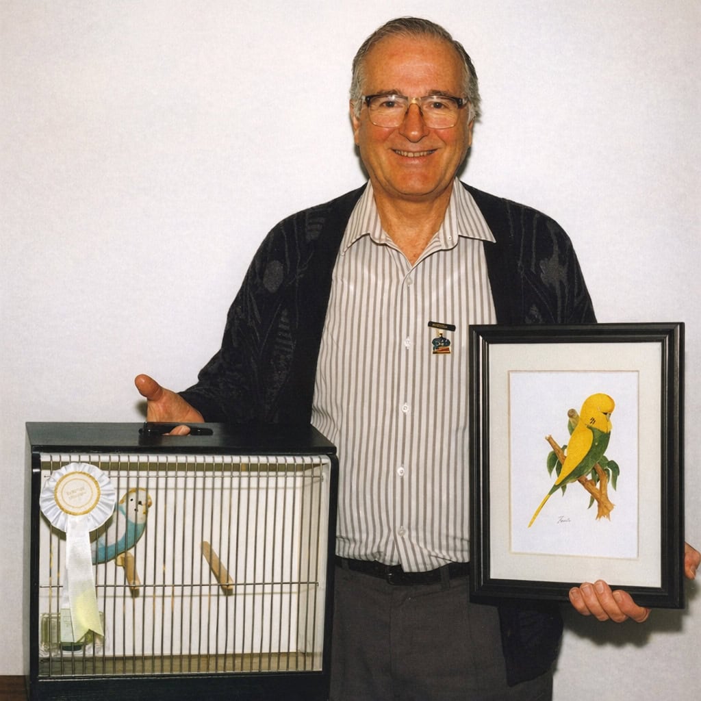 George Duffield Budgerigars, George Duffield