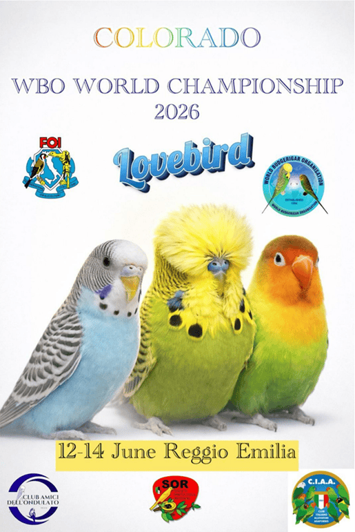 WBO Report May 2026