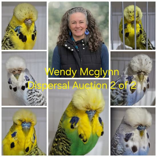 Wendy McGlynn Auction 2