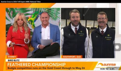 Sunrise Channel 7 2026