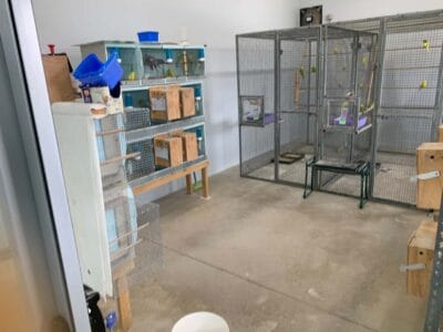 ANBC Breeder Profile Photo 3