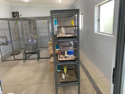 ANBC Breeder Profile Photo 4
