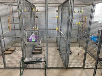 ANBC Breeder Profile Photo 2